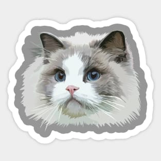 Pretty Cat Sticker